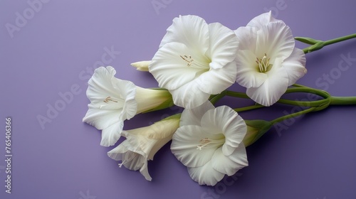 White Flowers on Purple Surface