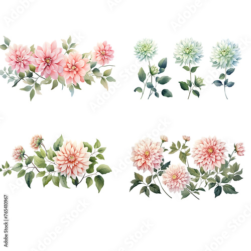 Dahlia branches with green leaves watercolor illustration. Flat vector illustration isolated on white background