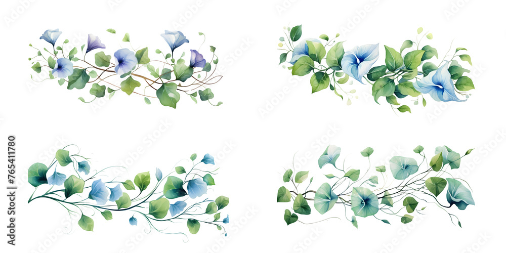 Morning Glory branches with green leaves watercolor illustration. Flat vector illustration isolated on white background - obrazy, fototapety, plakaty 