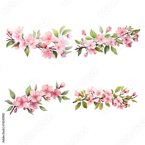 Sakura branches with green leaves watercolor illustration. Flat vector illustration isolated on white background