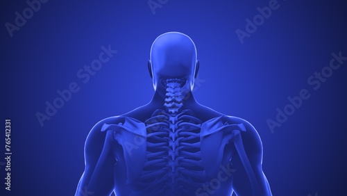 Medical animation for neck discomfort