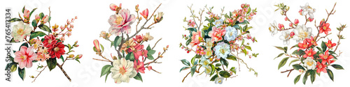 Camellias, Azaleas, and Dogwood Branches flowers bouquet, cutout, png isolated transparent background photo