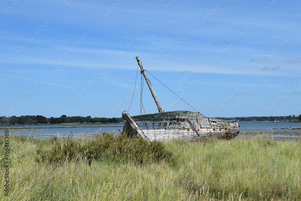 Rustic Wooden Shipwreck Stranded on Grassy Shoreline