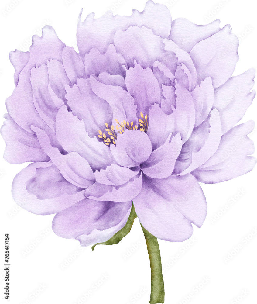 Peony Flower Element Peony Flower Element