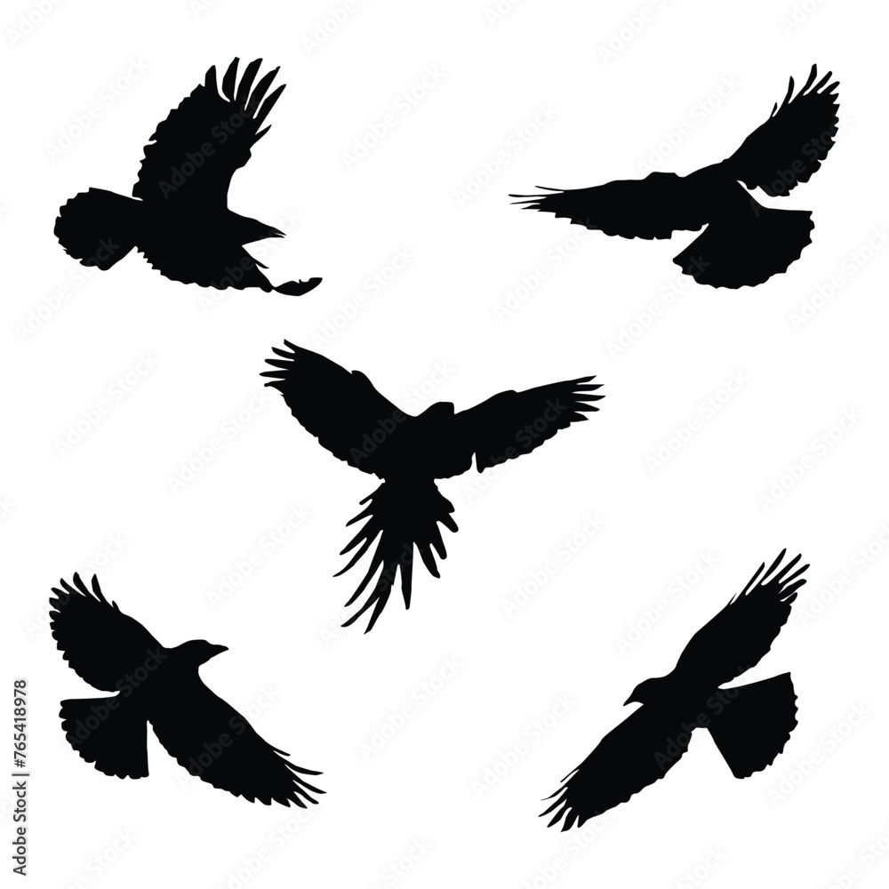 Obraz premium Vector silhouette of flying birds vector isolated
