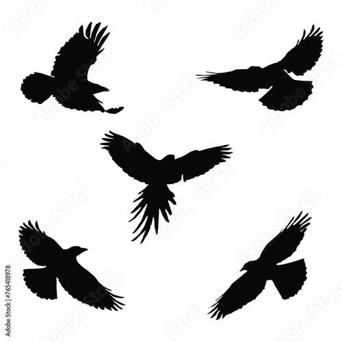 Vector silhouette of flying birds vector isolated