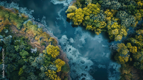 An aerial view of a river and lush forests.