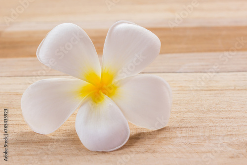 Frangipani flower on wooden table