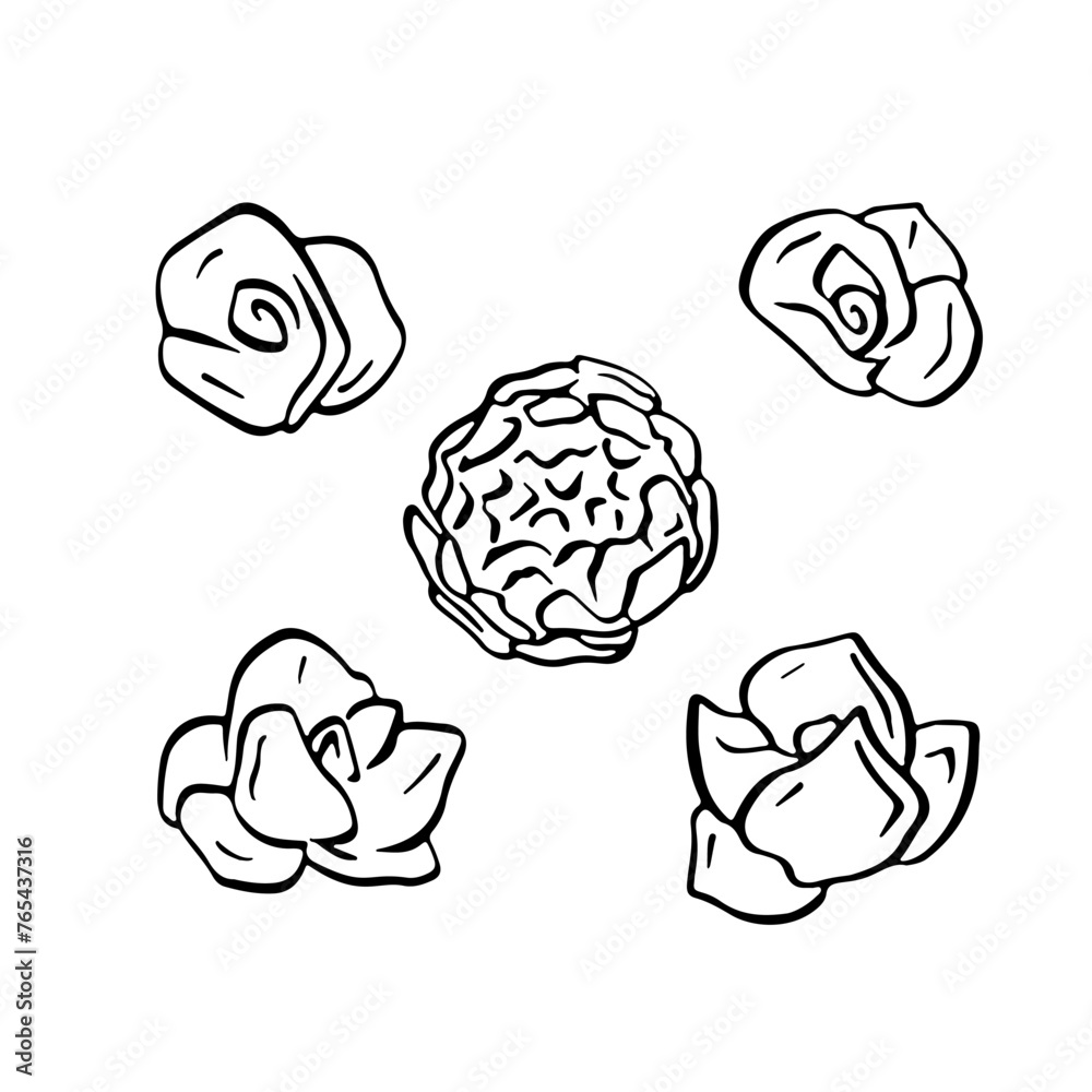 Set of rose flowers black line art isolated on white background Set of rose flowers black line art isolated on white background