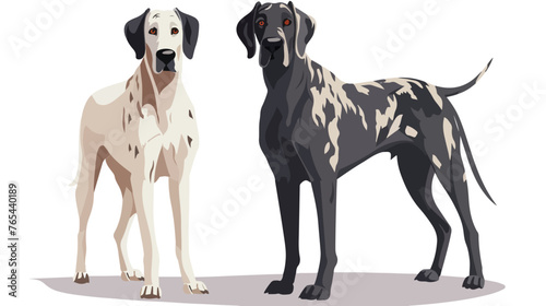  Great Danes Flat vector isolated on white background