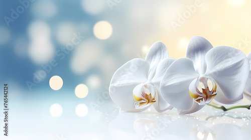 Pastel orchid bouquet, floral border on light background © Derby