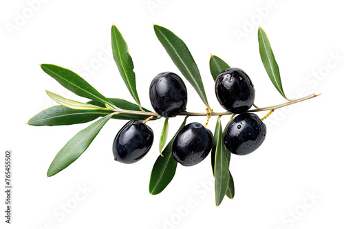 Fresh black olives with green leaves on a branch  isolated on transparent background	