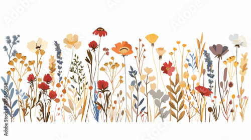 Dried Flowers and Herbs flat vector