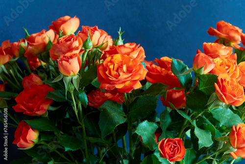 Beautiful red roses on a blue background