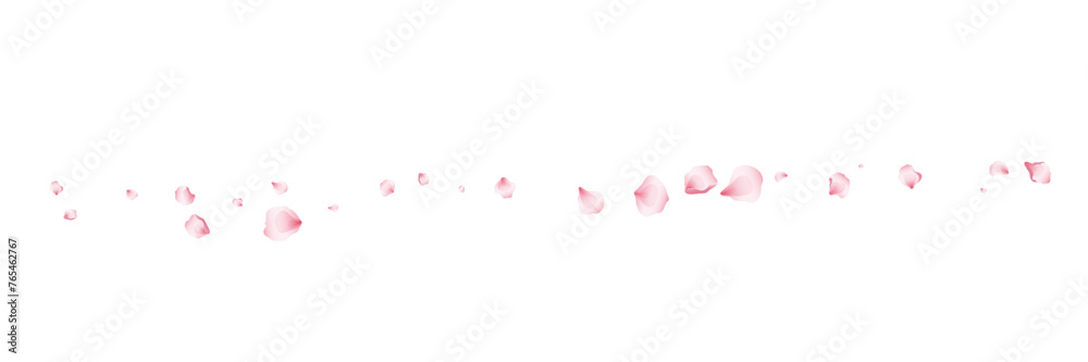 Flying pink petals transparent background. Beautiful floral overlay with lots of rose petals. Flying pink petals transparent background. Beautiful floral overlay with lots of rose petals.