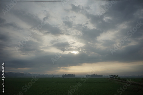 ricefield in java, indonesia photo