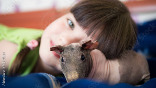 guinea pig and young girl close up portrait (ID: 765471554)