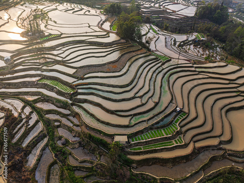 Close up view of rice terraces at sunrise in Yunnan - China, Unesco World Heritage Site