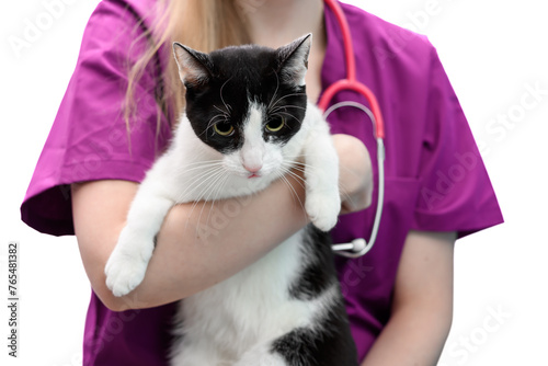 Kot w trakcie badania u weterynarza uroczo wystawia język z pyska