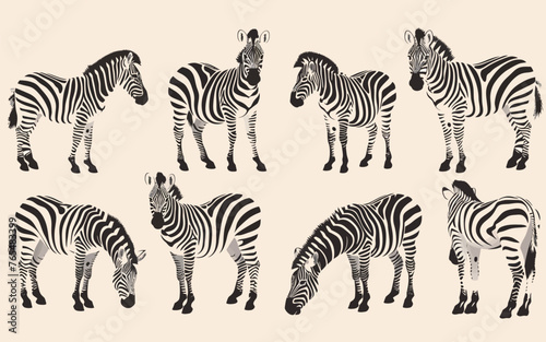Vector hand drawn black and white zebra material collection