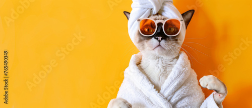 A stylish cat dons sunglasses and a spa towel, suggesting leisure and trendy attitudes photo