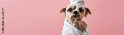 A serene-looking dog with its head wrapped in a towel, giving a vibe of spa and relaxation against a pink background photo