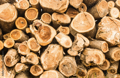 Stack of brown circle wood