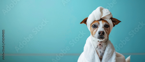 This image features a terrier dog in a white towel against a vibrant blue background, offering a humorous twist on spa imagery photo