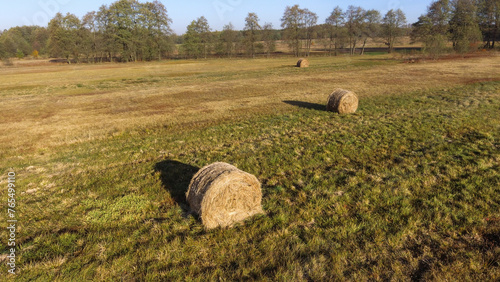 fresh bale of hay in the field © Rafa