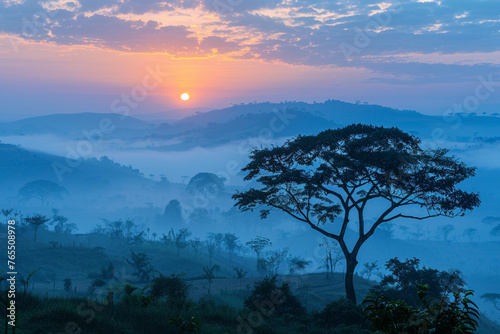 Uganda sunrise with trees  hills  shadows and morning fog
