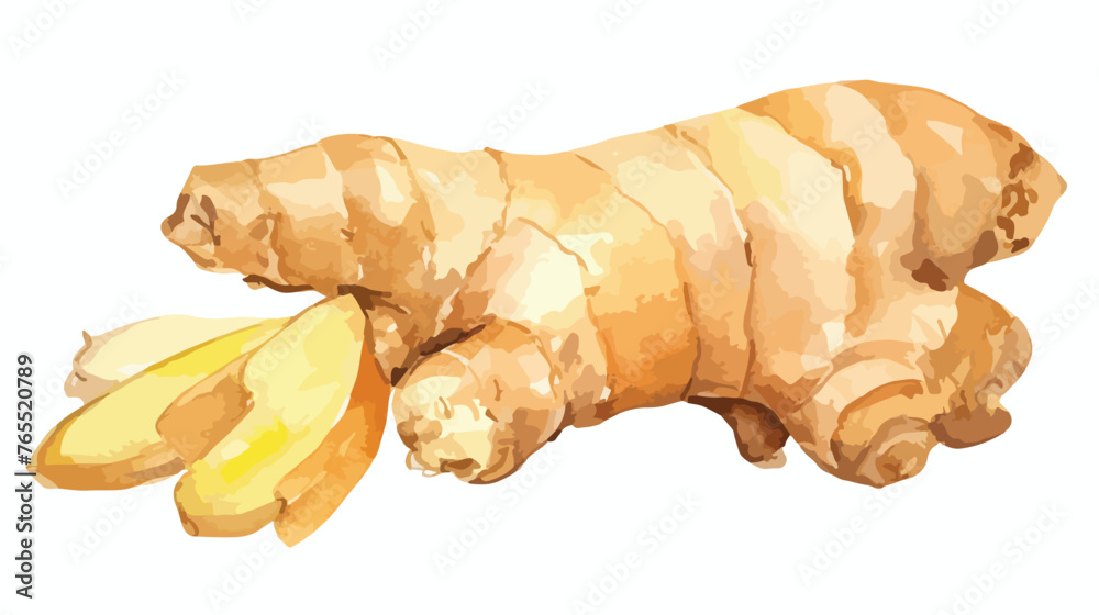 Watercolor ginger root. Object isolated on white background