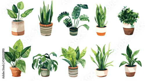 Watercolor home plants illustrations Home gardening