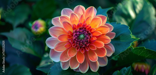 A close-up photograph of a blooming flower, showcasing its intricate petals in a burst of chromatic brilliance against a backdrop of lush green foliage