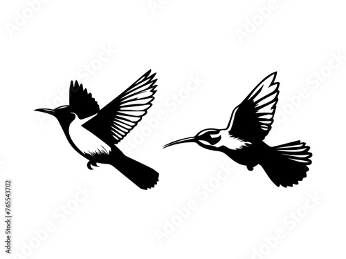 Birds silhouettes collection,Hand drawn animals silhouette set,Set of birds black vector, isolated, 