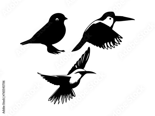 Birds silhouettes collection Hand drawn animals silhouette set Set of birds black vector  isolated  