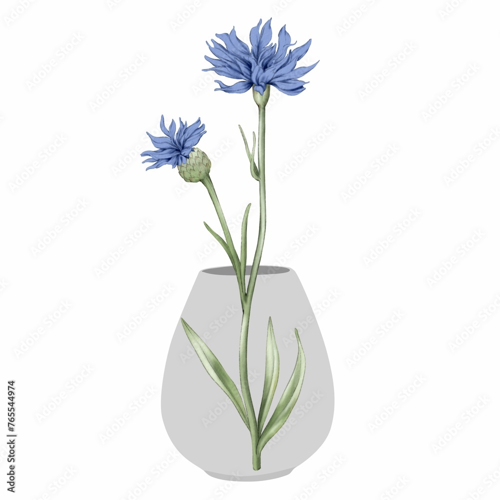 blue flower pictures in a transparent vase