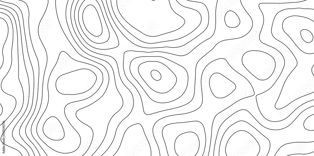 Topographic map and landscape terrain texture grid.  Abstract lines background. Contour maps. Vector illustration. black and white topographic contours lines of mountains.