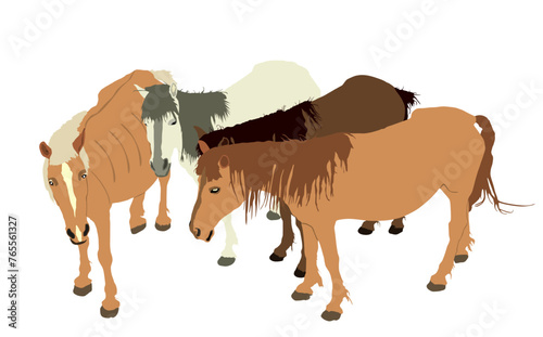 Elegant farm horses family vector illustration isolated on white background. Herd of horse in stall. Hippodrome sport event jet set entertainment. Noble animal pet.
