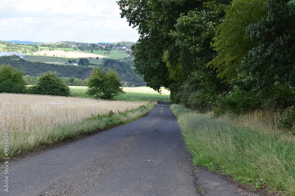 coutry road in summer