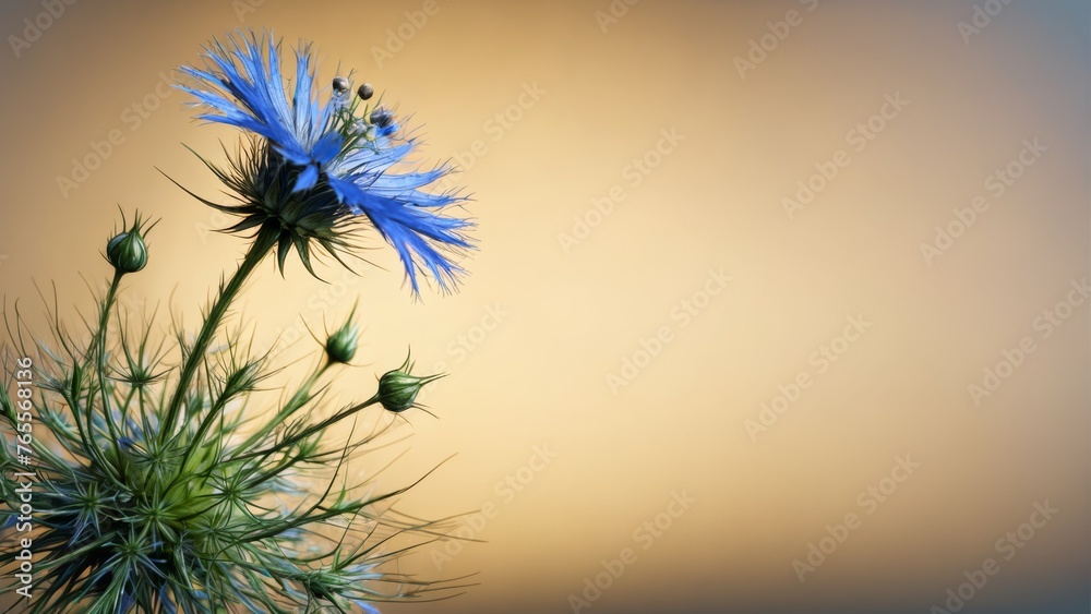  A stunning image depicts a beautiful blue flower resting atop a lush green plant against a captivating brown and yellow backdrop, with a soft blurred sky in the background