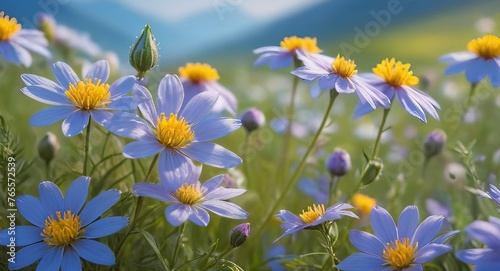 The Beauty of Wildflowers purple color