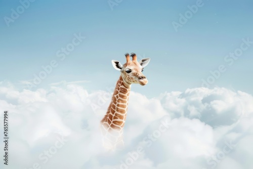 a baby giraffe standing in the middle of a cloud of white fluffy, with a blue sky in the background