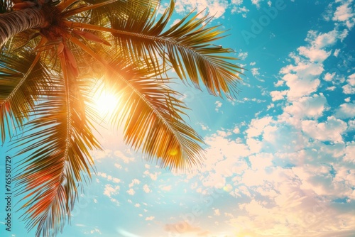 Copy space of tropical palm tree with sun light on sky background © Igor