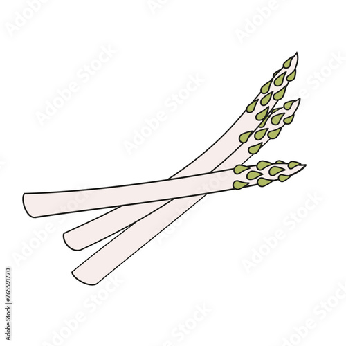 bunch of asparagus color vector illustration