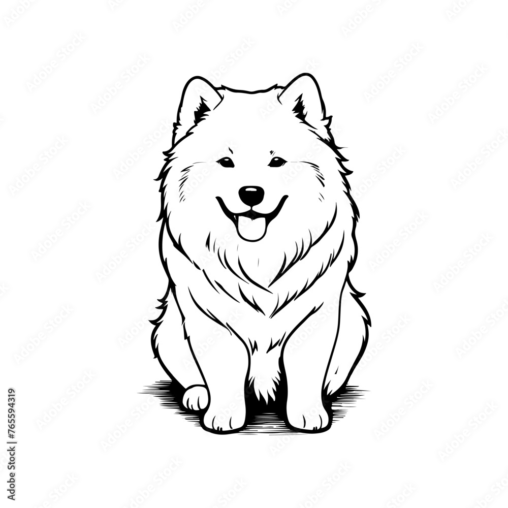 A line art vector illustration of a Samoyed dog with intricate and precise details.
