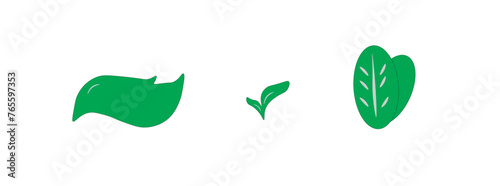 eco set of leaves together on a white background