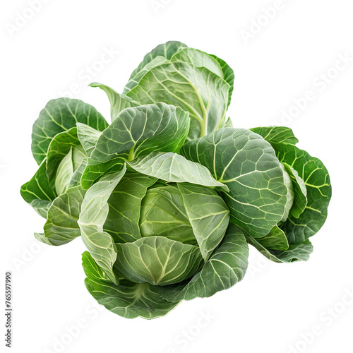 Cabbage Sprouts, transparent background, isolated image, generative AI