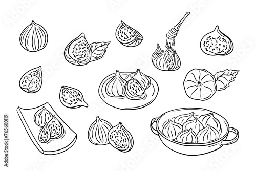 Set of sketch contour drawings of figs. Vector contour drawings of fruits for healthy eating on white background. Ideal for coloring pages, tattoo, stickers