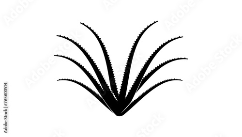 Aloe vera , black isolated silhouette