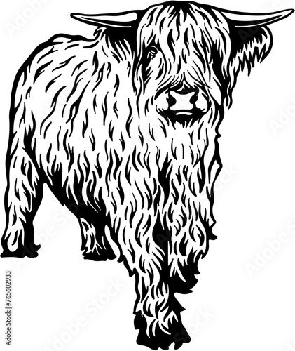 
Highland Cow SVG,Scottish cow svg,Scottish cow Clipart,Scottish cow Cricut,Highland Cow Vector,Farm animal svg,Heifer svg Files
